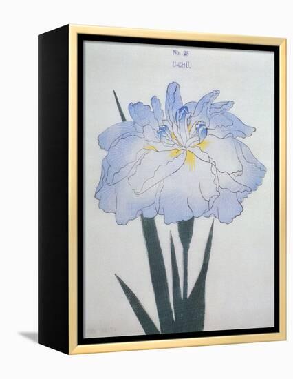 U-Chu Book of a Light Blue Iris-Stapleton Collection-Framed Premier Image Canvas