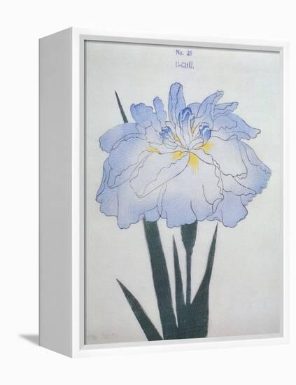 U-Chu Book of a Light Blue Iris-Stapleton Collection-Framed Premier Image Canvas