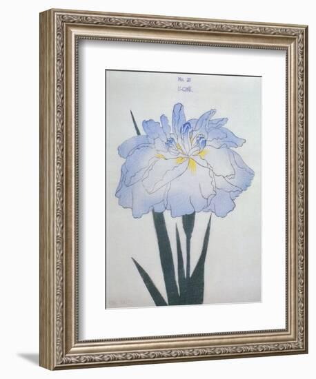 U-Chu Book of a Light Blue Iris-Stapleton Collection-Framed Giclee Print