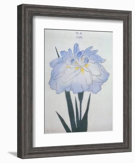 U-Chu Book of a Light Blue Iris-Stapleton Collection-Framed Giclee Print