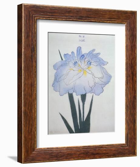 U-Chu Book of a Light Blue Iris-Stapleton Collection-Framed Giclee Print