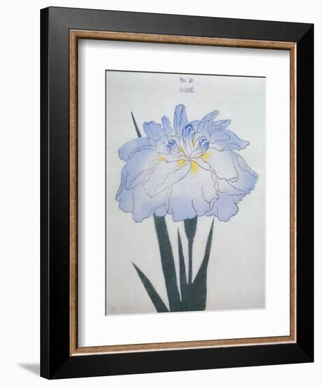 U-Chu Book of a Light Blue Iris-Stapleton Collection-Framed Giclee Print