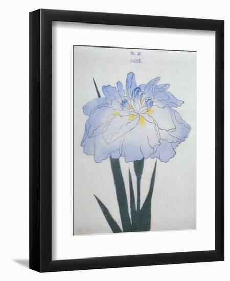 U-Chu Book of a Light Blue Iris-Stapleton Collection-Framed Giclee Print
