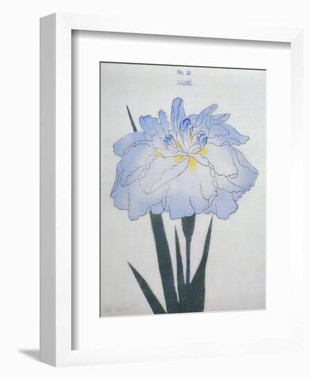 U-Chu Book of a Light Blue Iris-Stapleton Collection-Framed Giclee Print