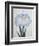 U-Chu Book of a Light Blue Iris-Stapleton Collection-Framed Giclee Print