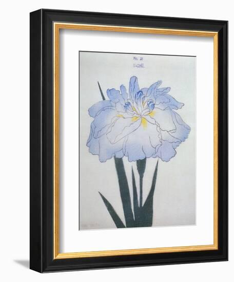 U-Chu Book of a Light Blue Iris-Stapleton Collection-Framed Giclee Print