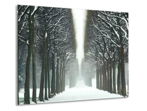 Snow on Tree Lined Avenue in Park, Misty View Parc De Sceaux, France ...