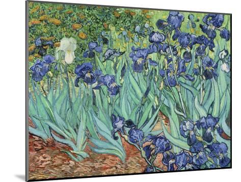 Irises, 1889 Giclee Print by Vincent van Gogh | Art.com