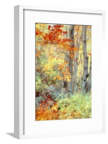 New England Fall Color Impressions Photographic Print by Vincent James ...