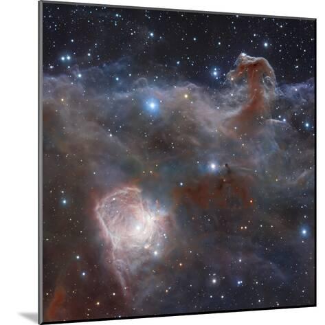 The Star-forming Region NGC 2024 in the Constellation Orion