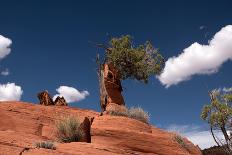 Blue Canyon, Arizona, Usa-U Gernhoefer-Mounted Photographic Print