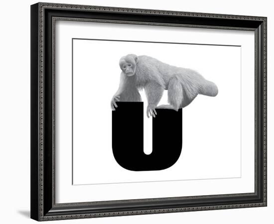 U is for Uakari-Stacy Hsu-Framed Art Print