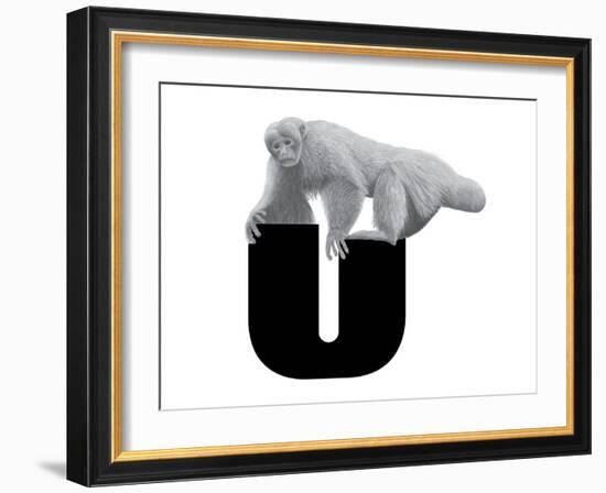 U is for Uakari-Stacy Hsu-Framed Art Print