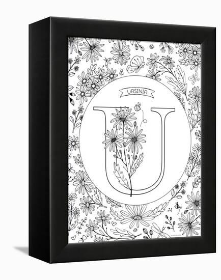 U is for Ursinia-Heather Rosas-Framed Stretched Canvas