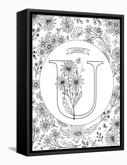 U is for Ursinia-Heather Rosas-Framed Stretched Canvas