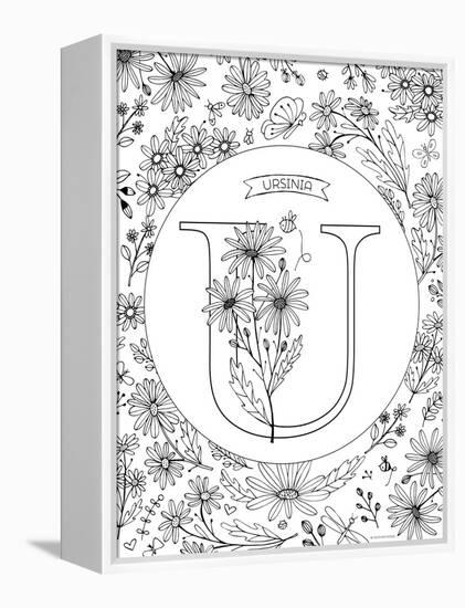 U is for Ursinia-Heather Rosas-Framed Stretched Canvas