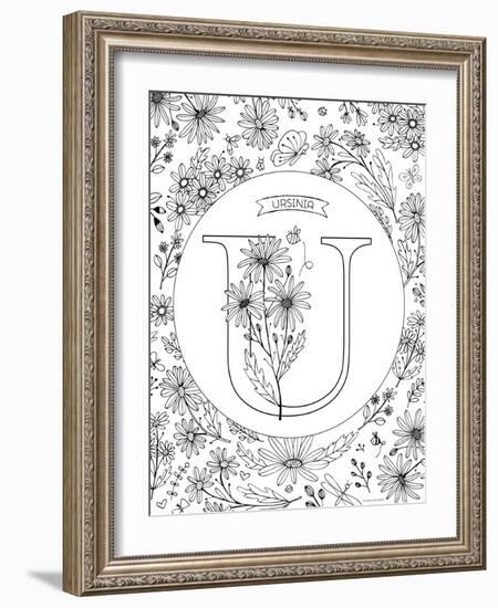 U is for Ursinia-Heather Rosas-Framed Art Print
