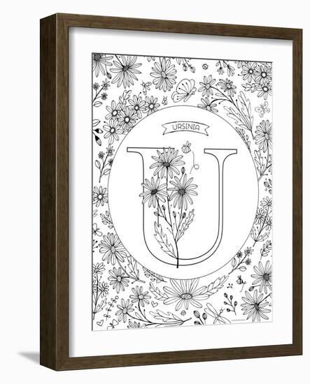 U is for Ursinia-Heather Rosas-Framed Art Print