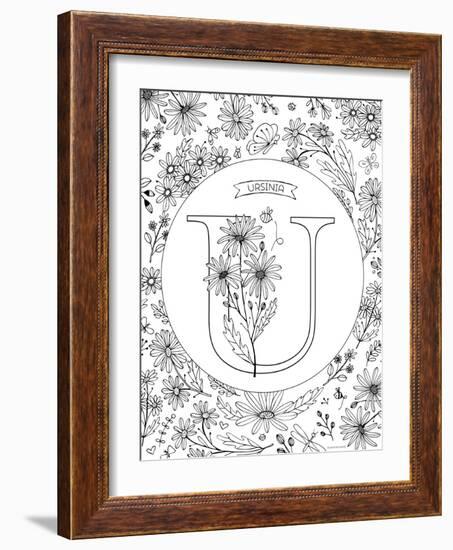 U is for Ursinia-Heather Rosas-Framed Art Print