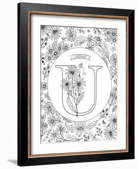 U is for Ursinia-Heather Rosas-Framed Art Print