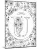 U is for Ursinia-Heather Rosas-Mounted Art Print