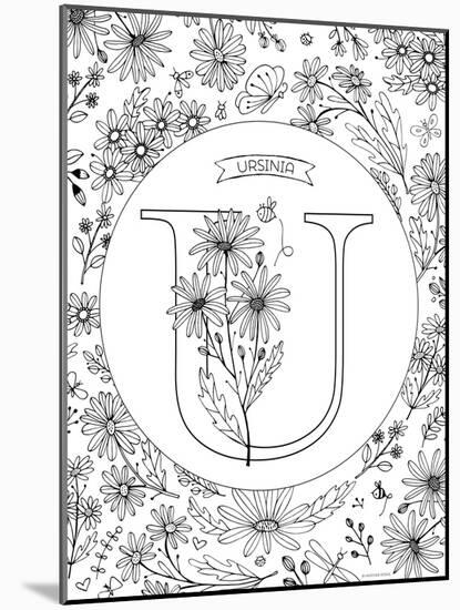 U is for Ursinia-Heather Rosas-Mounted Art Print