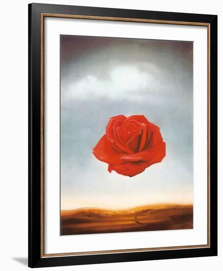 Rose Meditative, c.1958-Salvador Dalí-Framed Art Print