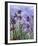 Irises (detail)-Claude Monet-Framed Art Print