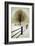 Solitude-David Winston-Framed Art Print