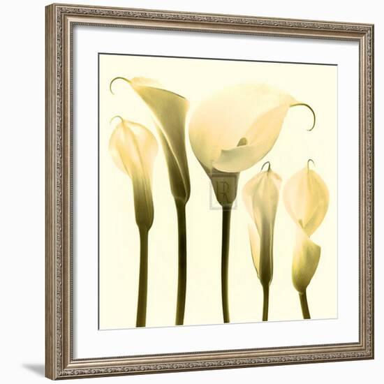 Lily Cluster-Katja Marzahn-Framed Art Print