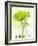 Coquelicot Vert I-Marthe-Framed Art Print