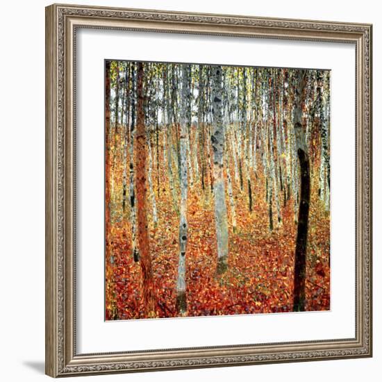 Forest of Beech Trees, c.1903-Gustav Klimt-Framed Art Print