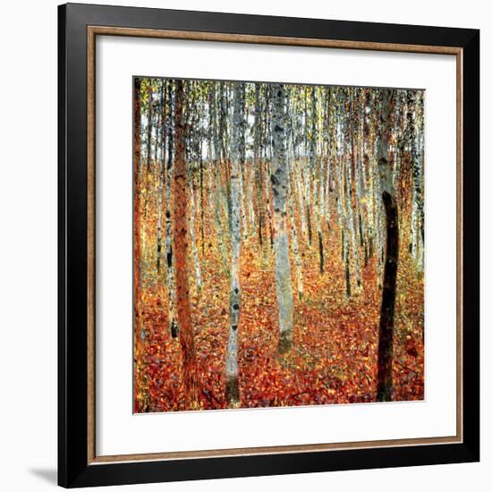 Forest of Beech Trees, c.1903-Gustav Klimt-Framed Art Print