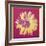 Daisy, c.1982 (Fuchsia and Yellow)-Andy Warhol-Framed Giclee Print