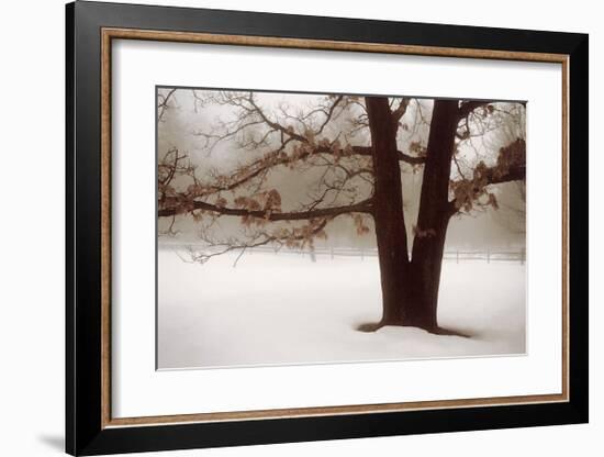 Tranquility-David Winston-Framed Giclee Print