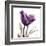 Royal Purple Parrot Tulip-Albert Koetsier-Framed Art Print