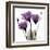 Royal Purple Gentian Trio-Albert Koetsier-Framed Art Print