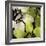 Bloomer Tile V-James Burghardt-Framed Art Print