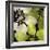 Bloomer Tile V-James Burghardt-Framed Art Print