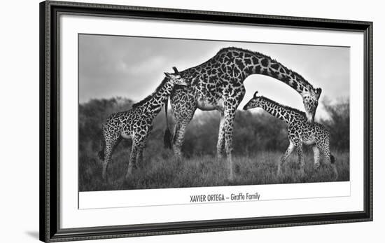 Giraffe Family-Xavier Ortega-Framed Art Print