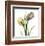 Tulip Bouquet-Albert Koetsier-Framed Art Print