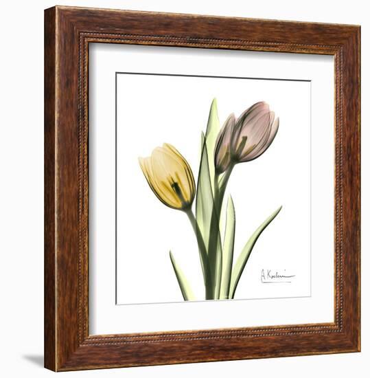 Tulip Bouquet-Albert Koetsier-Framed Art Print