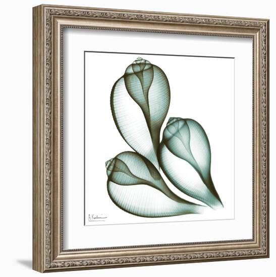 Sea Shells in Green II-Albert Koetsier-Framed Art Print