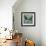 Magpie No. 1-John Golden-Framed Giclee Print displayed on a wall