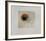 I Papaveri-Annapia Antonini-Framed Limited Edition