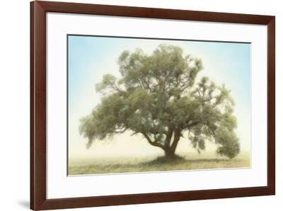 Oak & Blue Sky Art Print by William Guion | Art.com