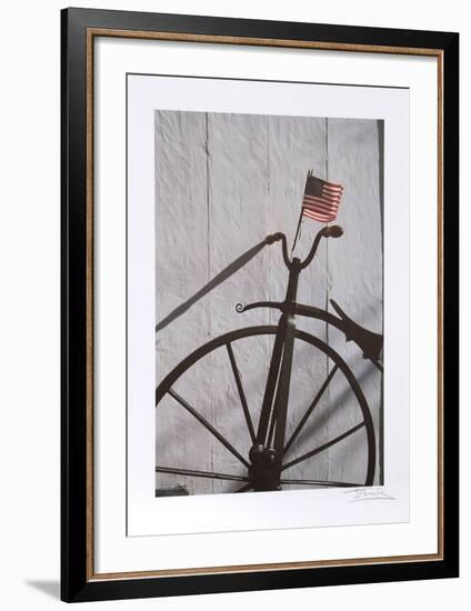 Flag-Harvey Edwards-Framed Collectable Print