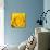 Yellow Rose-Joseph Eta-Giclee Print displayed on a wall