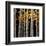 Aspen Grove-Michael O'Toole-Framed Giclee Print