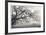 Peaceful Pasture-Donald Satterlee-Framed Giclee Print